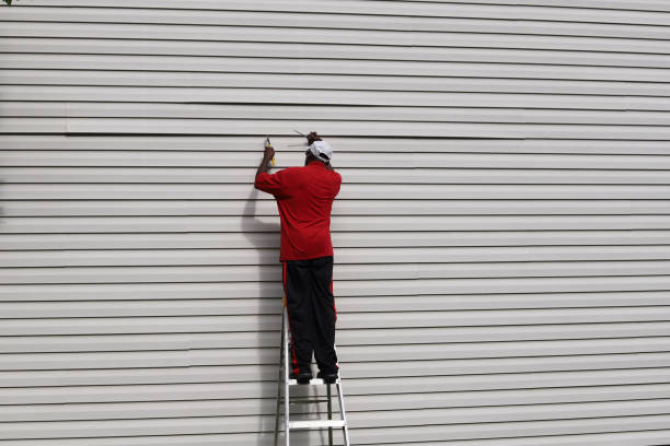 Best Aluminum Siding Installation  in The Hills, NJ