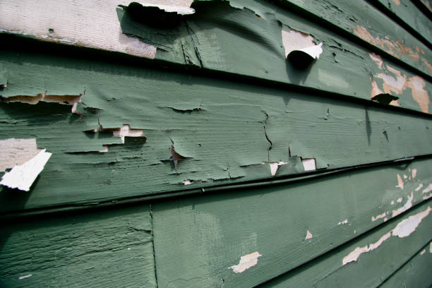 Affordable siding repair and maintenance services in The Hills, NJ