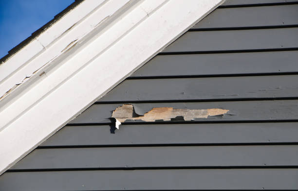 Best Aluminum Siding Installation  in The Hills, NJ